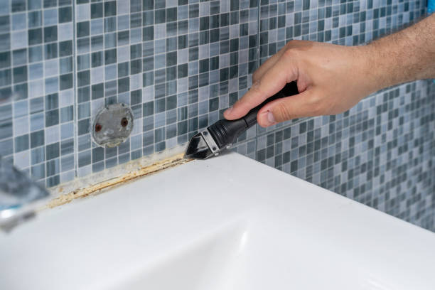 Best Black Mold Removal  in Malta, IL