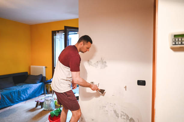 Best Commercial Mold Removal  in Malta, IL